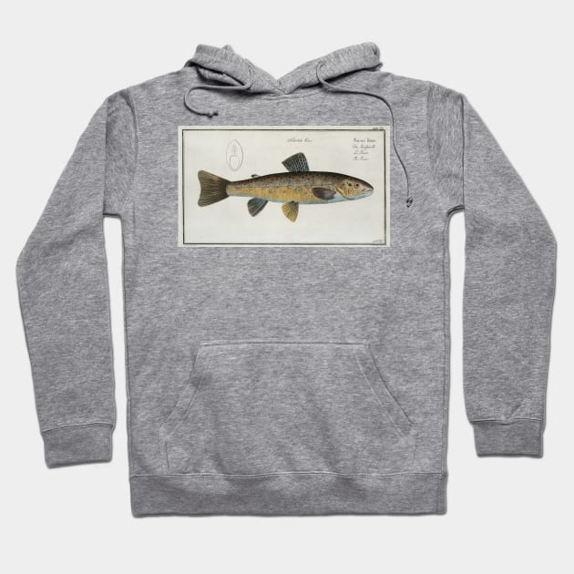 Vintage Illustration of a River Salmon (1785) Hoodie by Bravuramedia